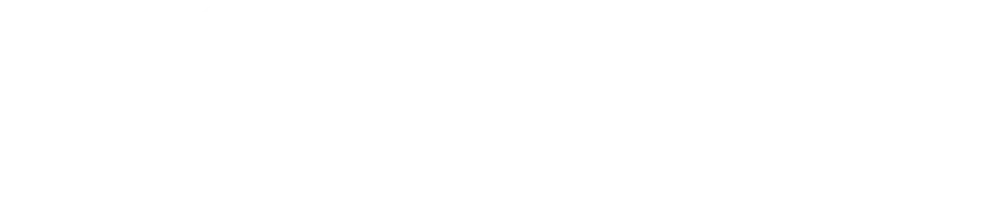 Icon Internacional Ferretera